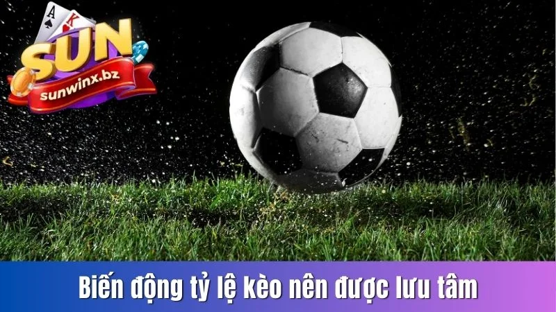 Biến động tỷ lệ kèo nên được lưu tâm