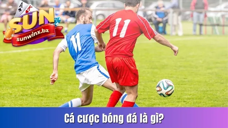 Cá cược bóng đá là gì?