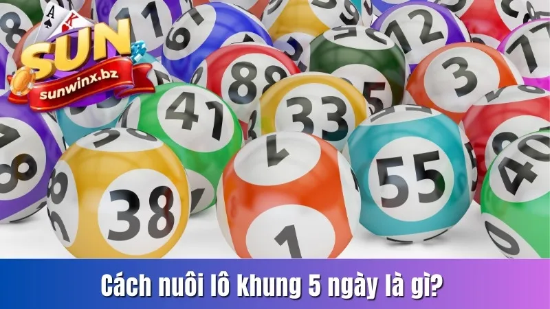 Cách nuôi lô khung 5 ngày hiểu là gì?