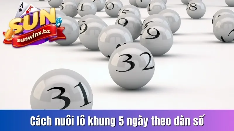 Cách nuôi lô khung 5 ngày theo dàn số
