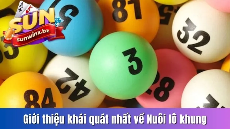 Giới thiệu khái quát nhất về nuôi lô khung