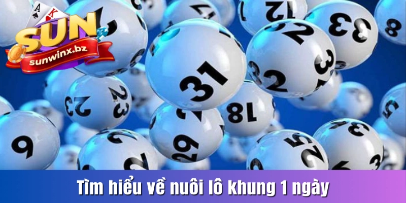 Tổng quan về phương pháp nuôi khung 1 ngày